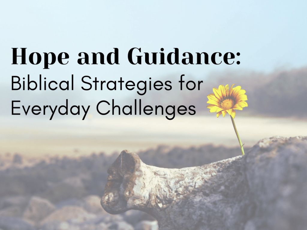 Biblical Strategies for Everyday Challenges